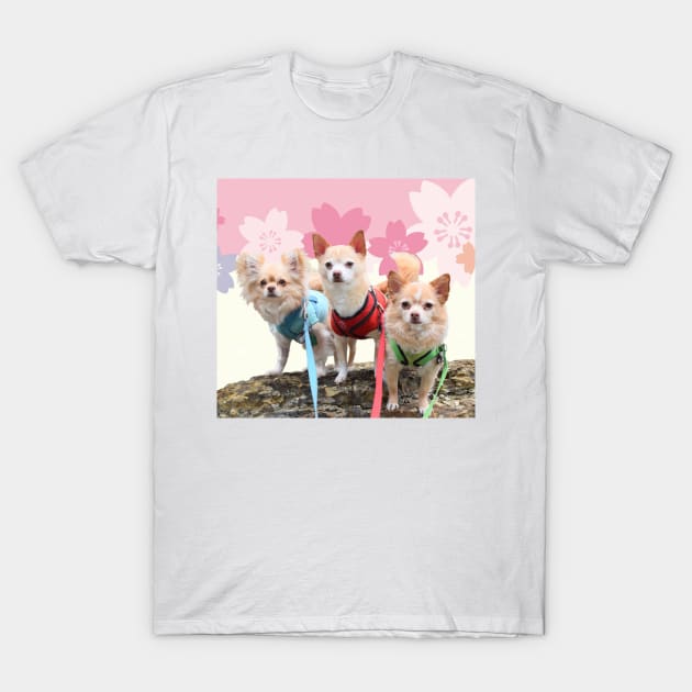 Sakura Chihuahuas T-Shirt by BarkPink